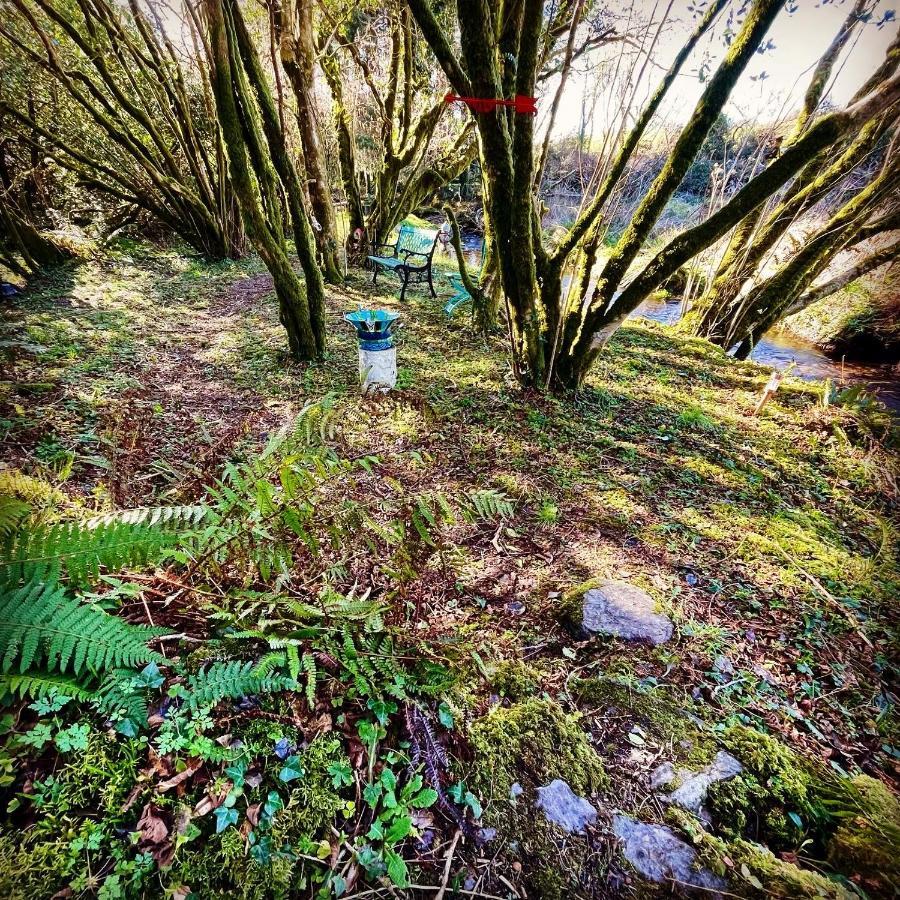 Hotel Stepping Stones Glamping Little Red Bantry Exterior foto