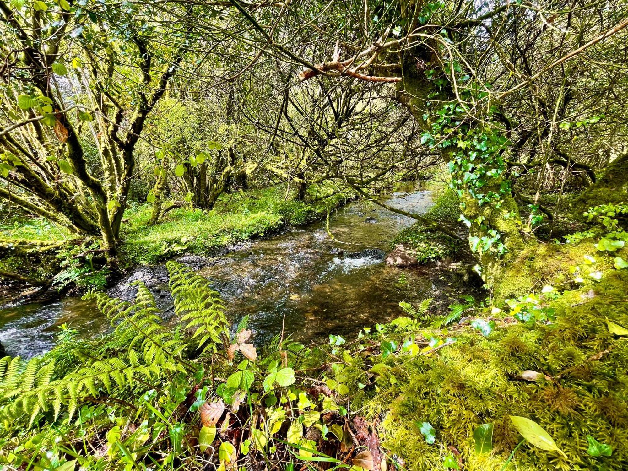Hotel Stepping Stones Glamping Little Red Bantry Exterior foto