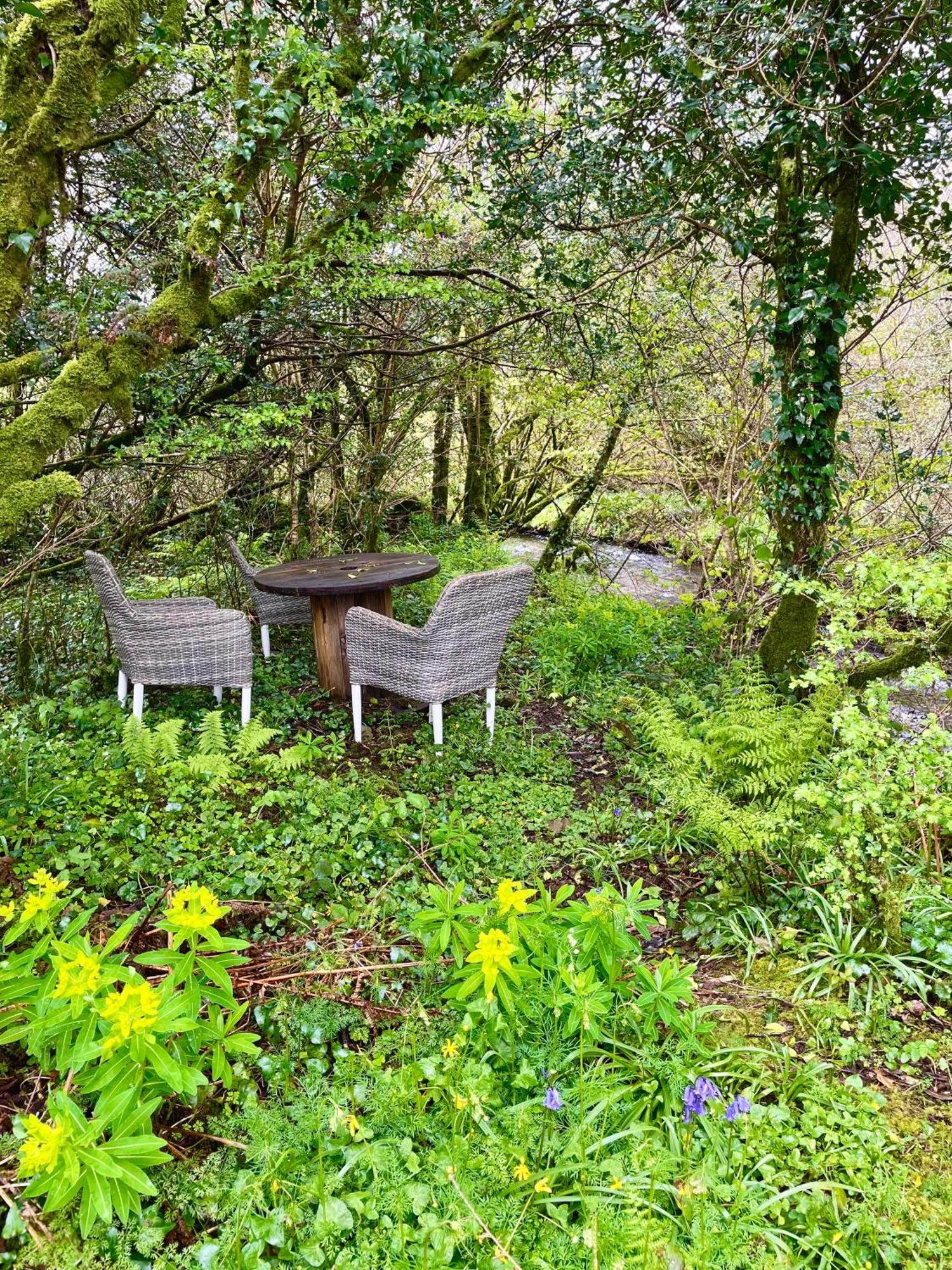 Hotel Stepping Stones Glamping Little Red Bantry Exterior foto